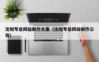 莱州沈阳专业网站制作方案（沈阳专业网站制作公司）